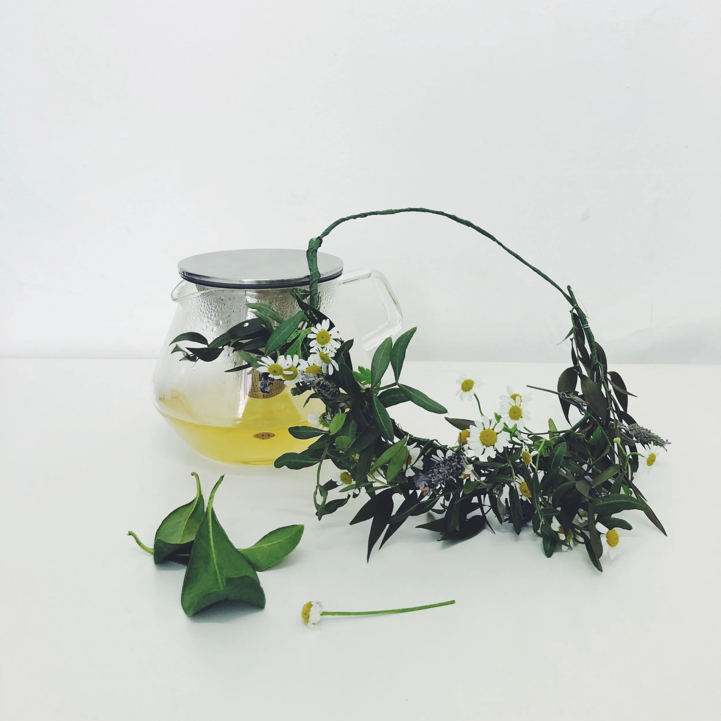 Midsummer Herbal Tea Party w/ The Plant Room Garden Sessions