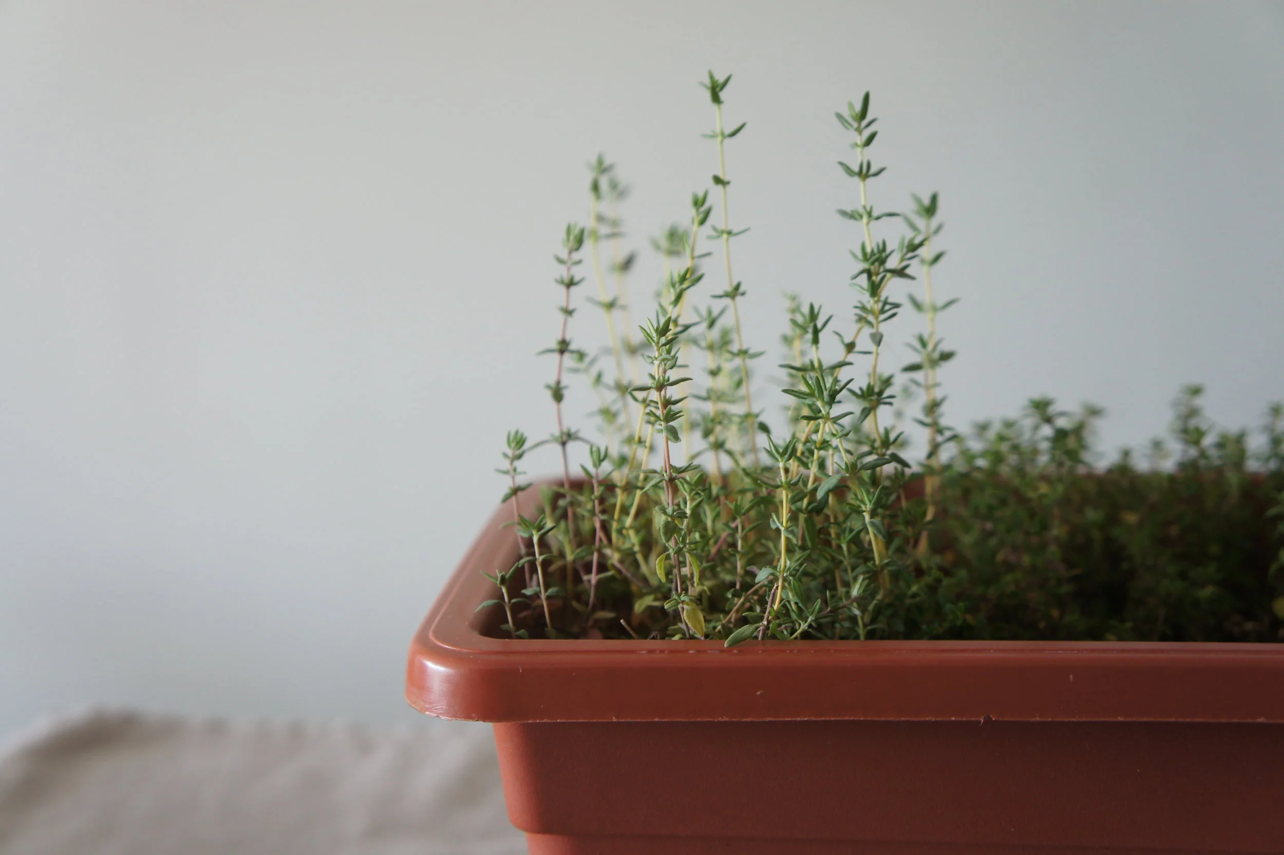 Blend your own oils, vinegars + salts 