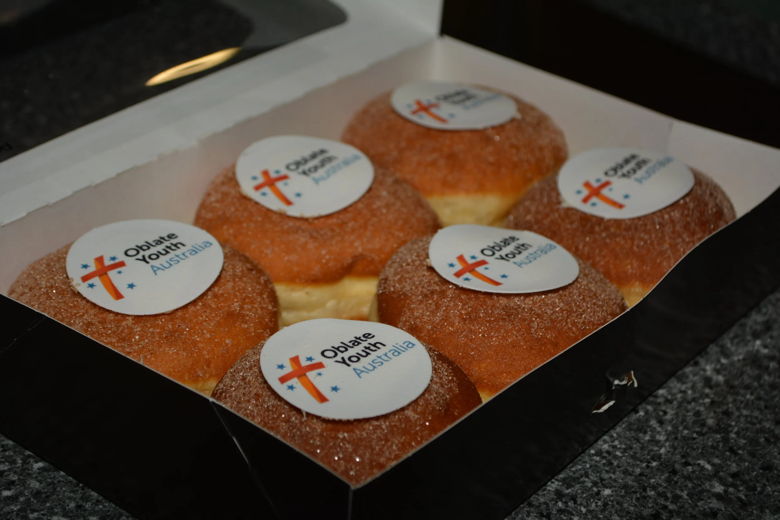 Logo & Website Launch