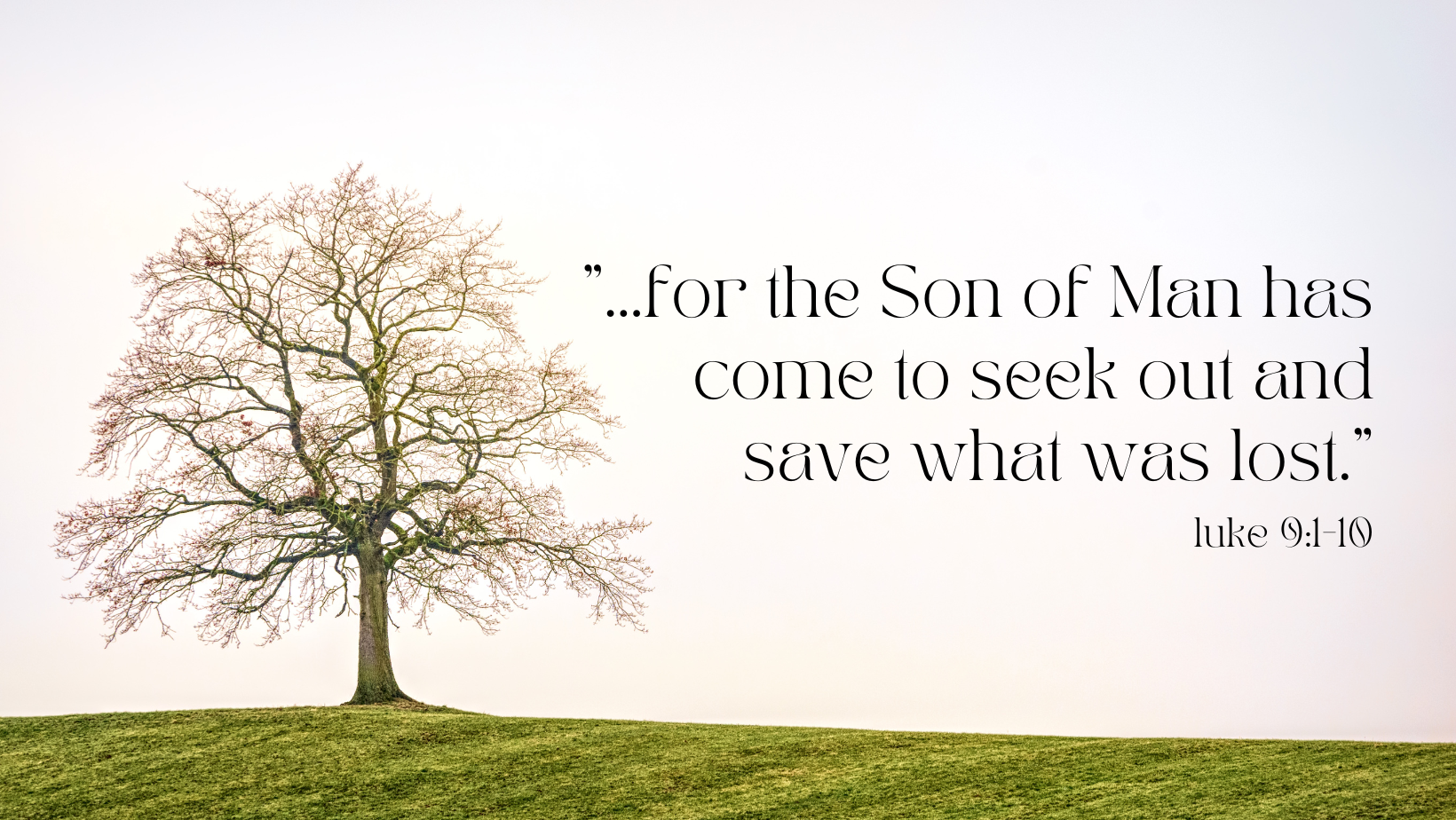 Resource for the 31st Sunday in Ordinary Time, Year C — Oblate Youth ...