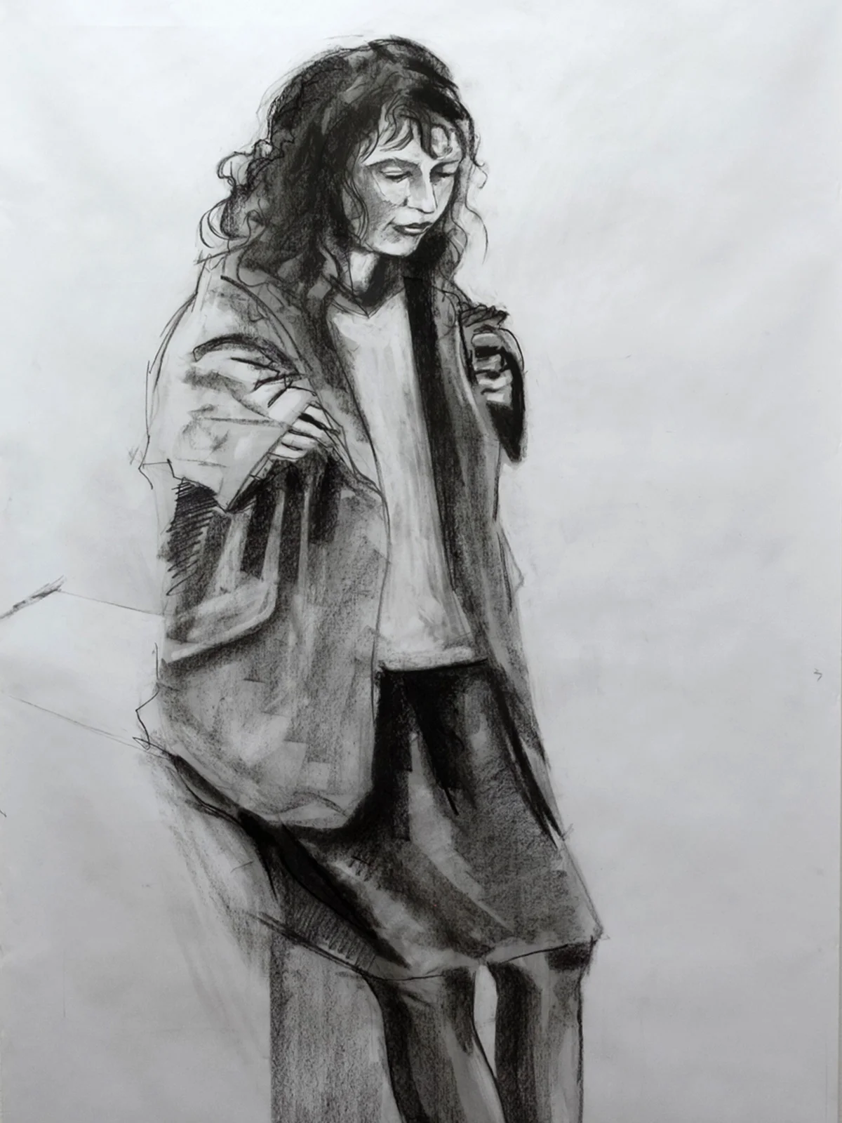   Dispossession Prep Drawing 1 &nbsp;2017 75 x 160cm Willow &amp; compressed charcoal on Cartridge 