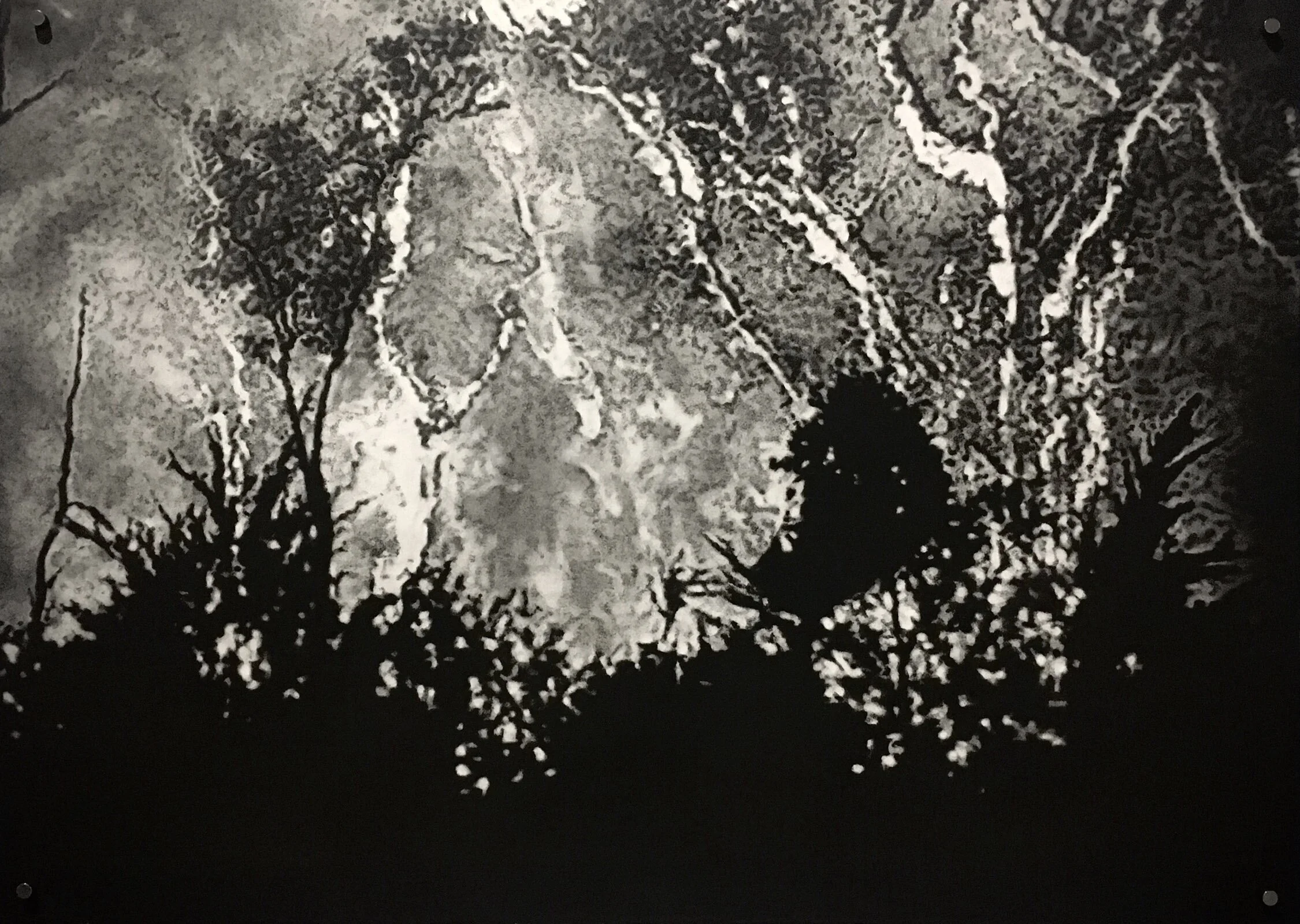   I guess I’ll have to change my plan (No. 1)  2020 57 x 79.5 cm Willow charcoal on Arches 