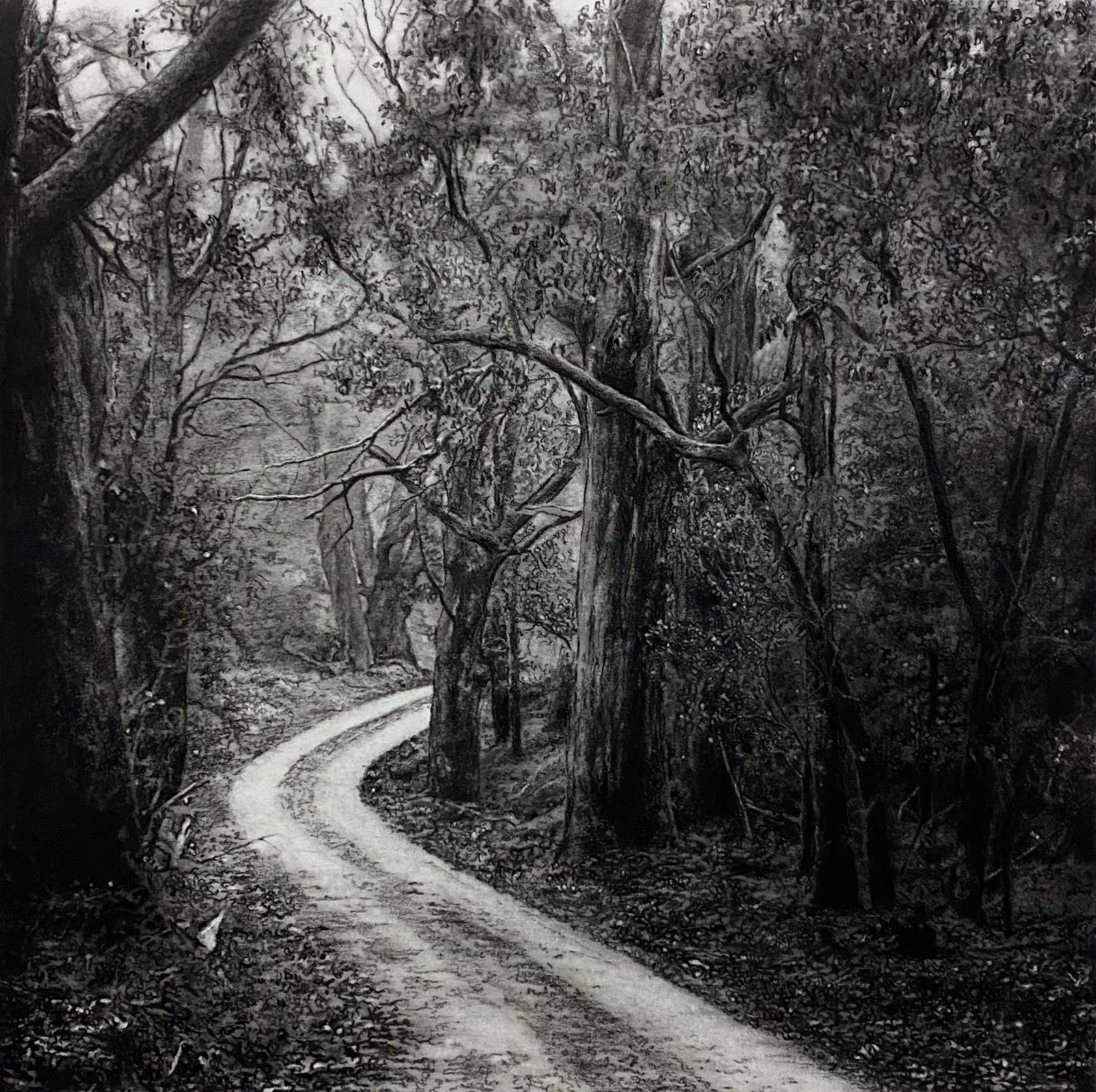   Clear path  2021 45 x 45 cm Compressed charcoal on Arches 