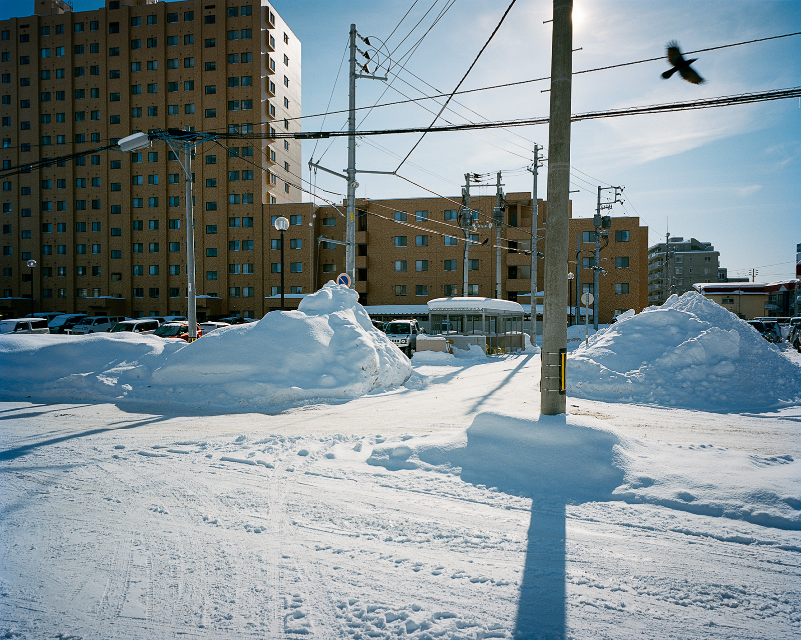 Sapporo White 27.jpg