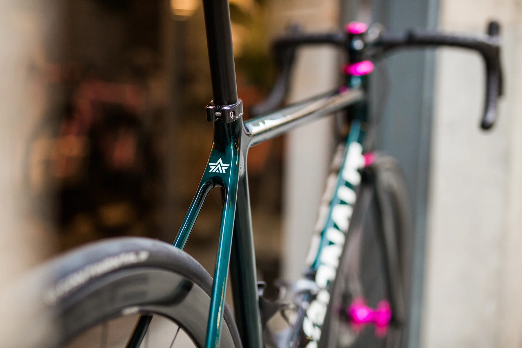 Argonaut_Green_Web_10.jpg