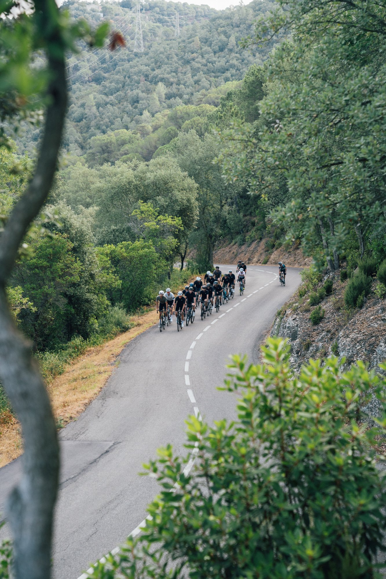 Curve Cycling on Instagram: It's back again for 2023, @theservicecourse  presents GiRodeo! To celebrate the end of Summer in Girona, the crew at The  Service Course have curated a special action-packed weekend