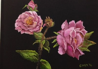 Roses in my garden.JPG