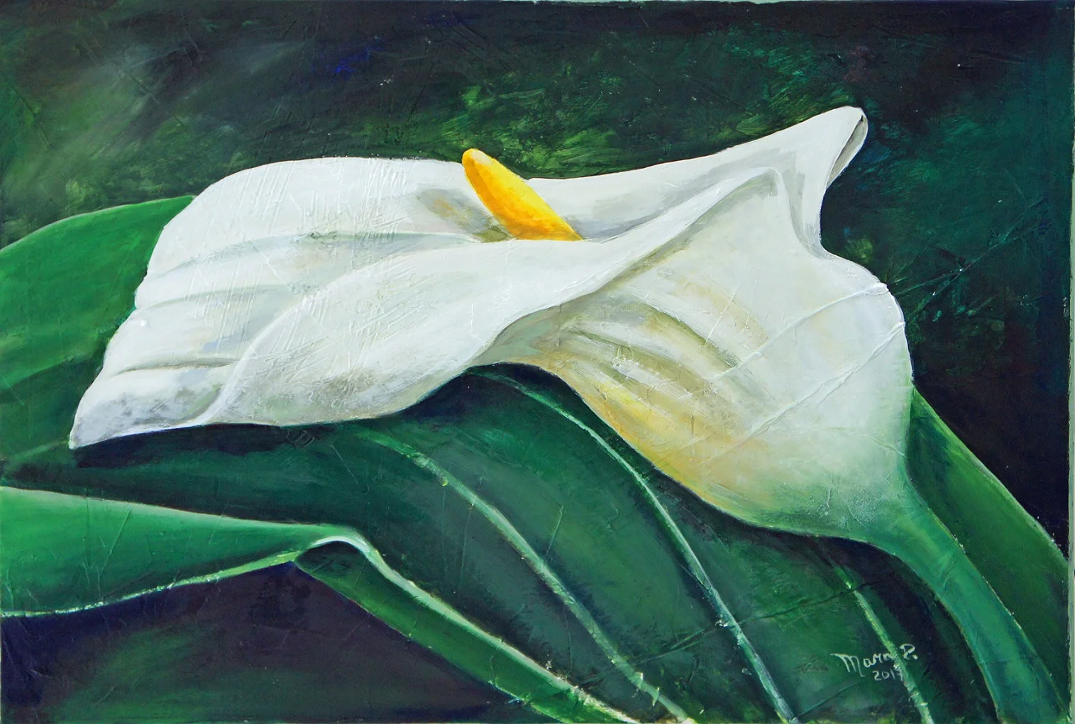 mara_painter_lily.jpg