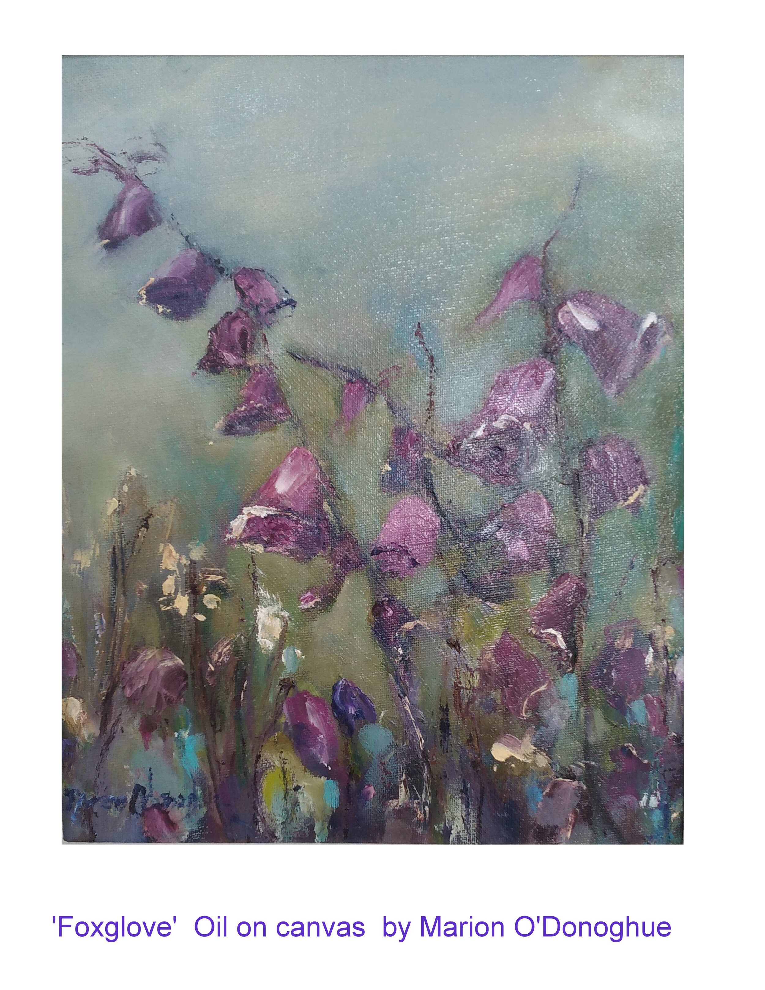 Marian O'Donoghue  Foxglove, .jpg