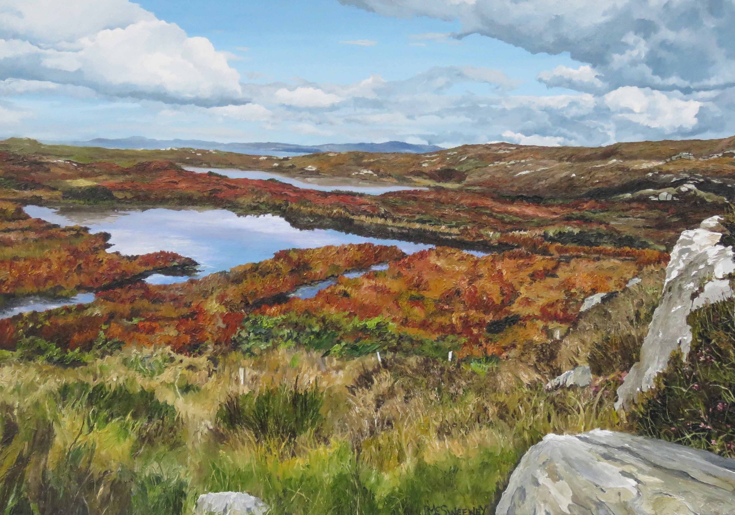 Peter McSweeney - Coolturtaun Loch.jpeg