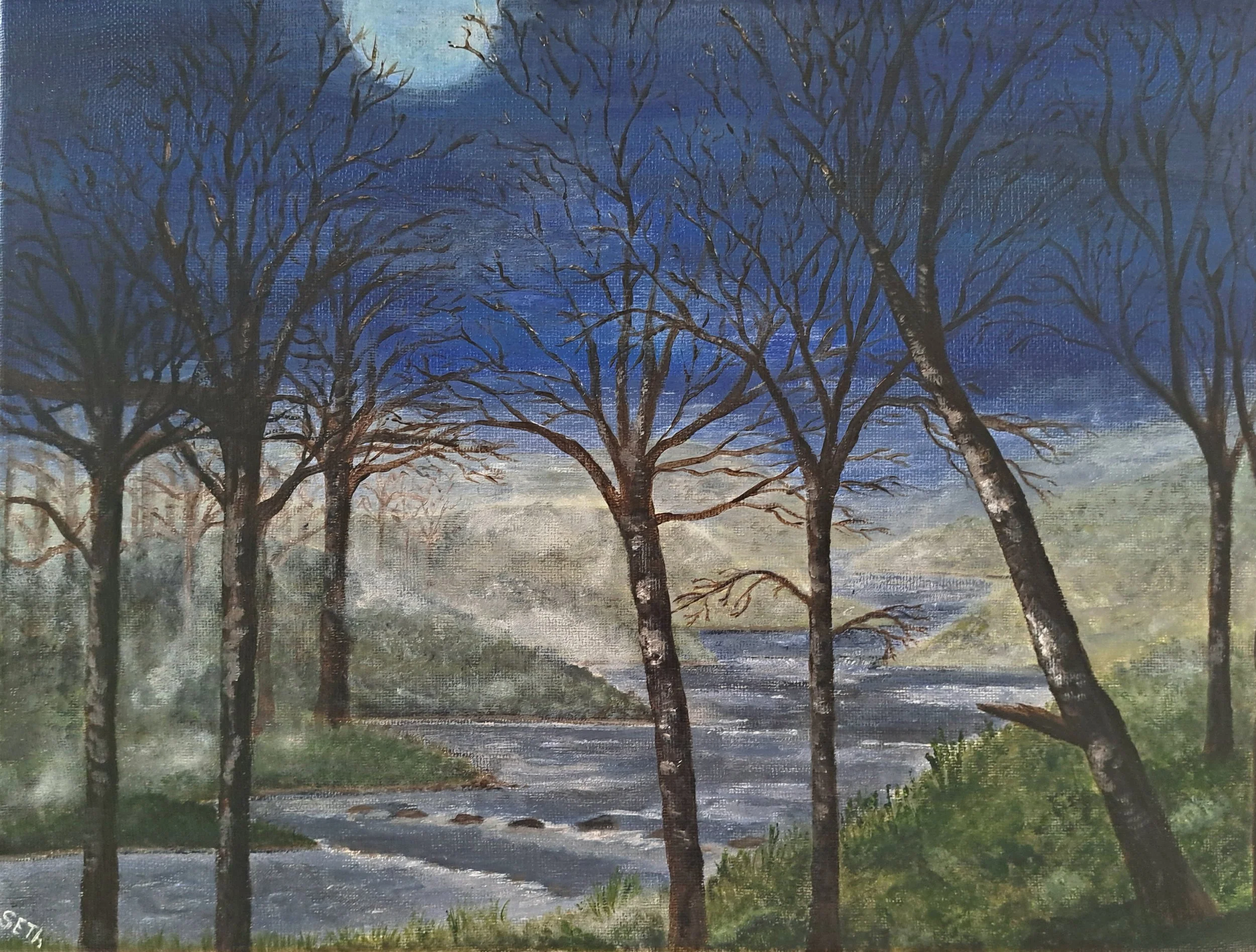 Sylvia Thirlway - Misty Night.jpg