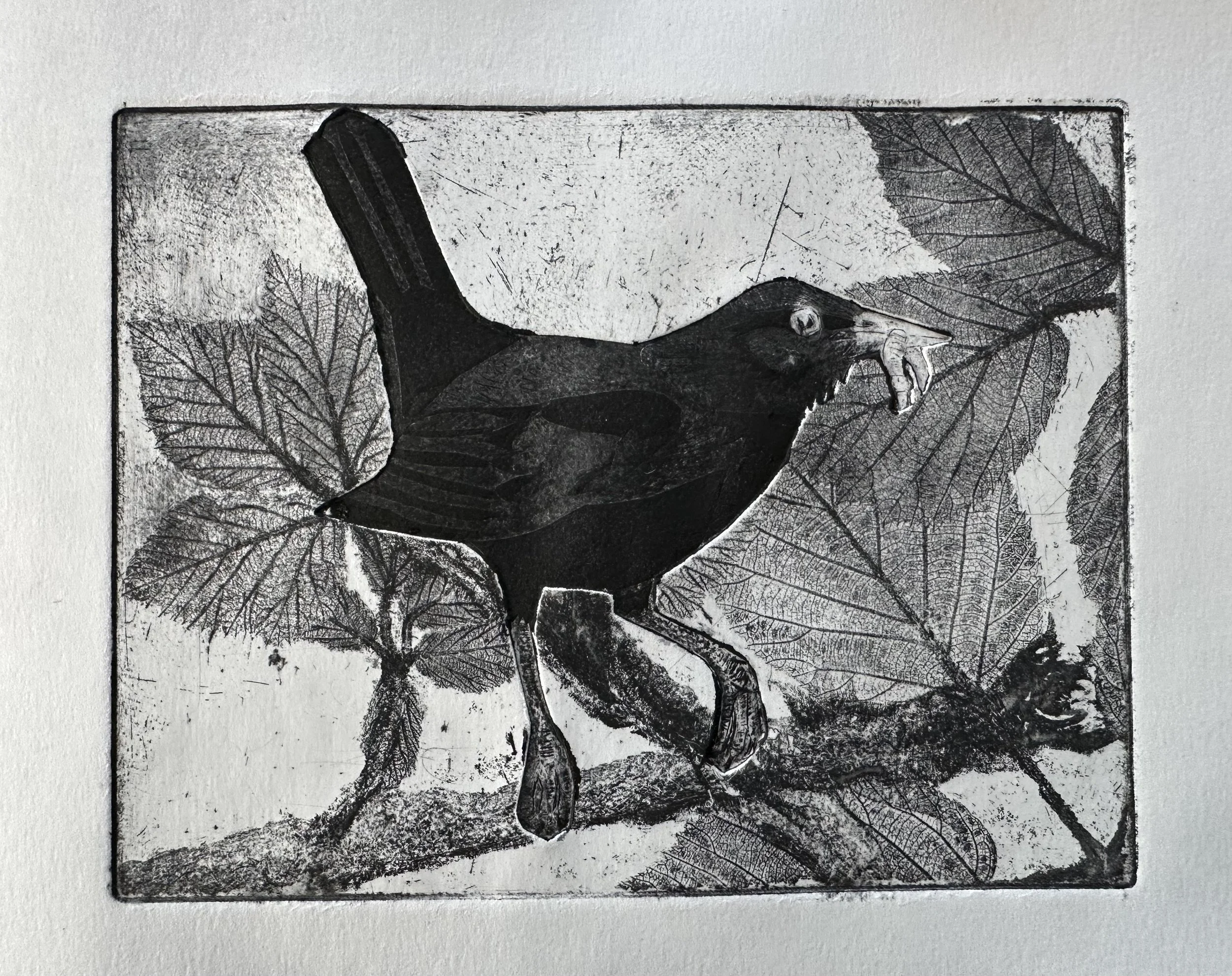 Vicky Crawford - Blackbird ‘Breakfast in the Brambles’.jpeg
