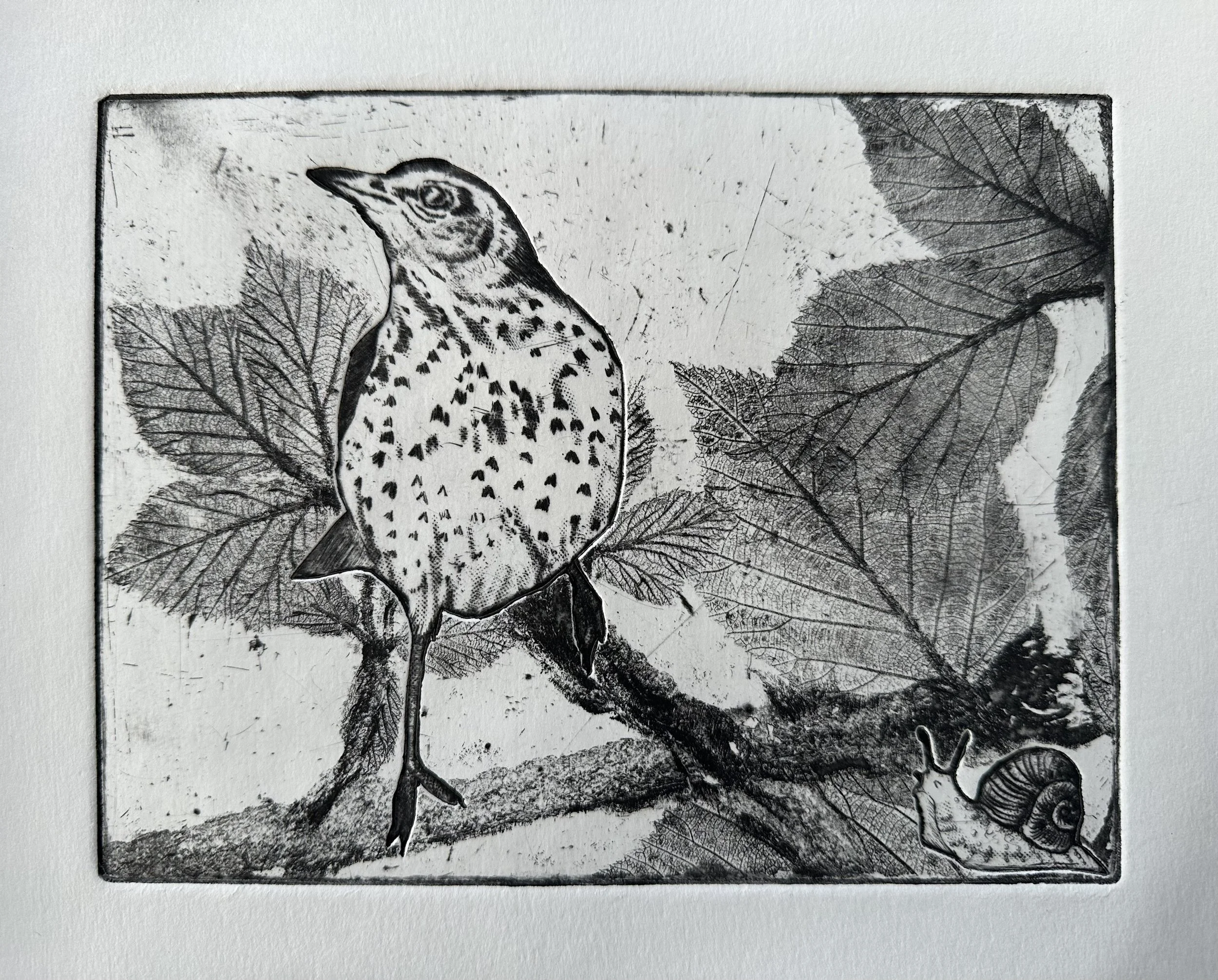 Vicky Crawford - Thrush ‘Breakfast in the Brambles’.jpeg