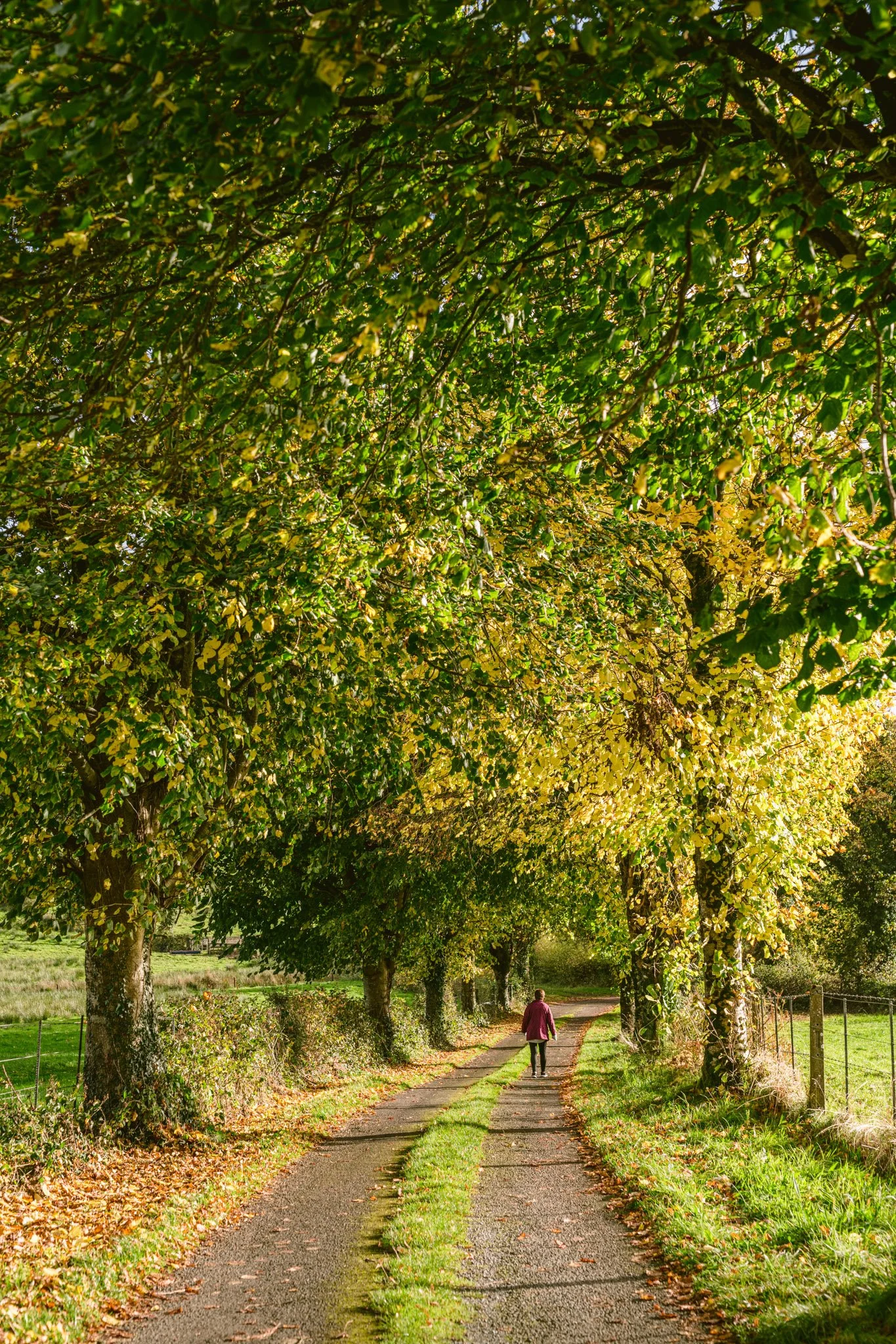 Dina Ozola - 'Autumn Walk'.jpg