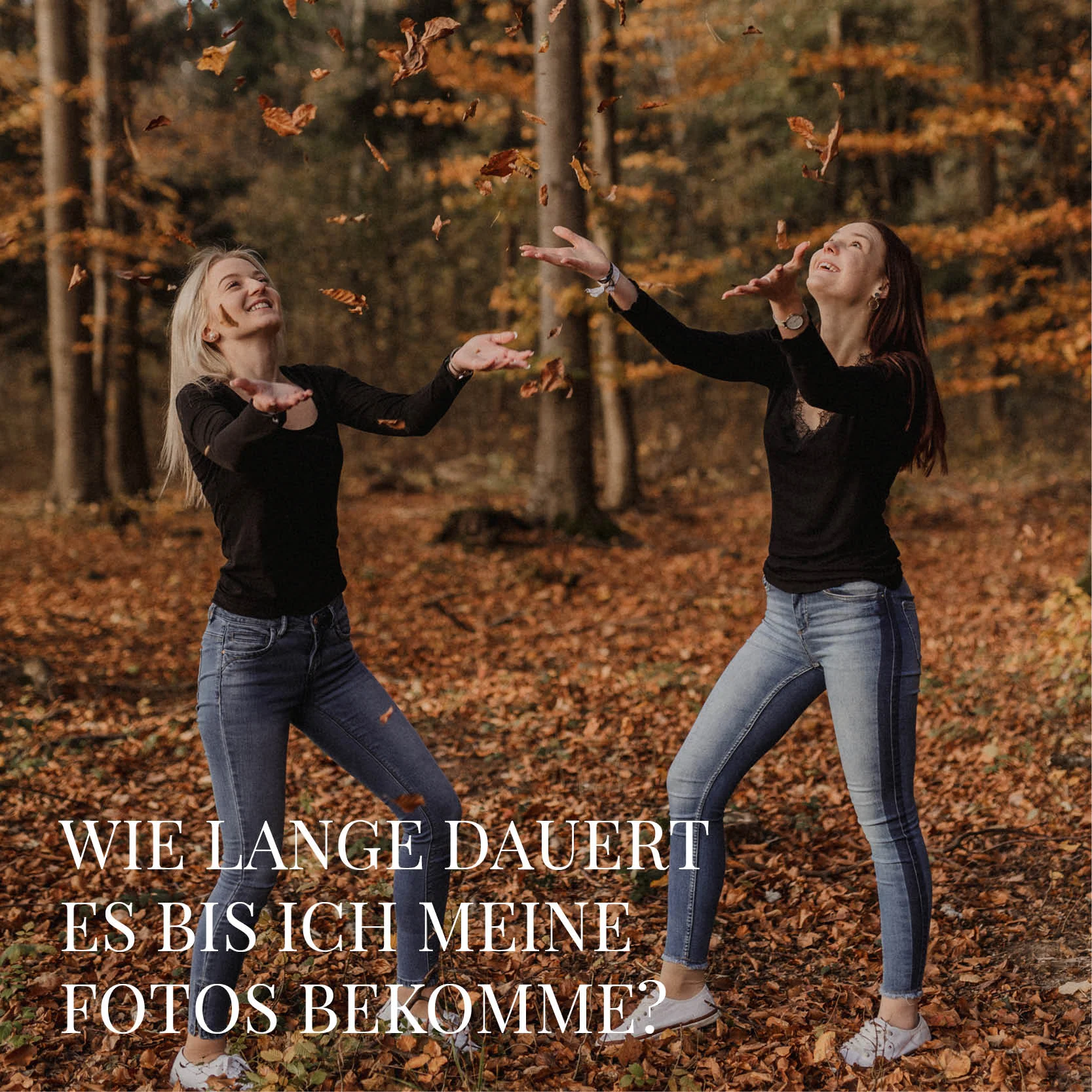 faq5.jpg