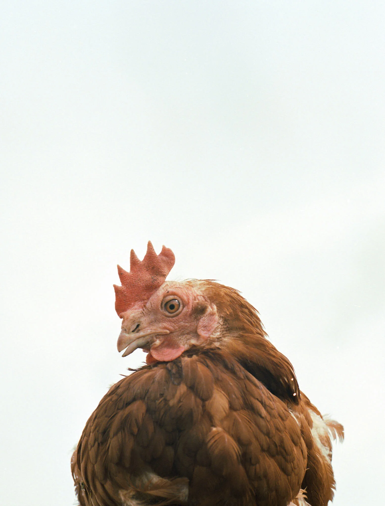 190913_Hunger_JacobMcFadden_LakeDistrict_Retouched_Lowres010.jpg