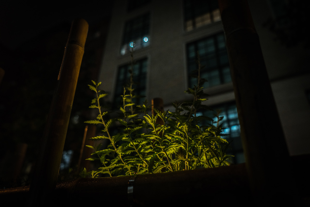 DSC00141.jpeg