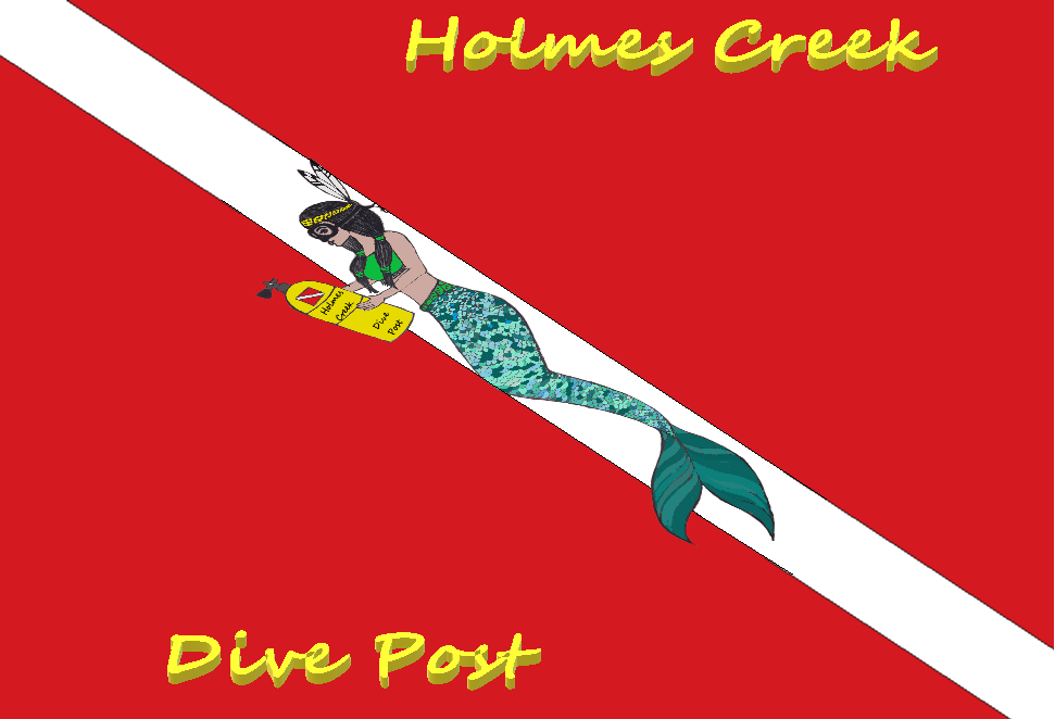 DIVE FLAG MERMAID.png