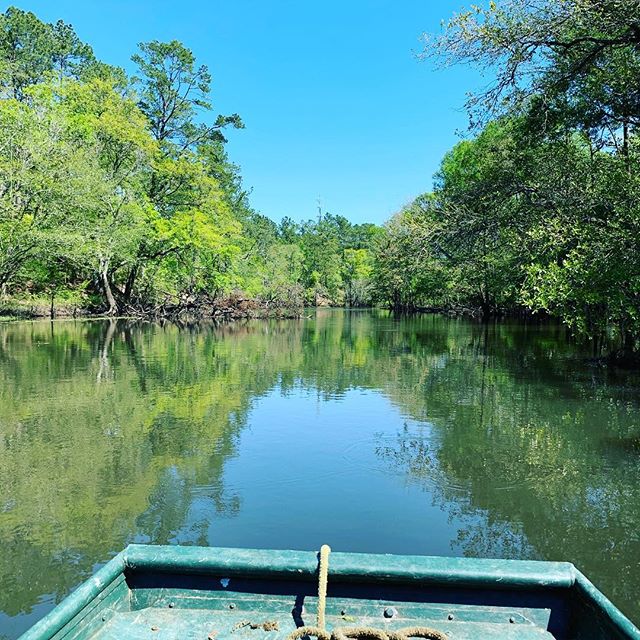 What a great day to on the water. 🚣&zwj;♀️🏊&zwj;♂️ #holmescreekcanoelivery #holmescreekdivepost #nature #wildlife