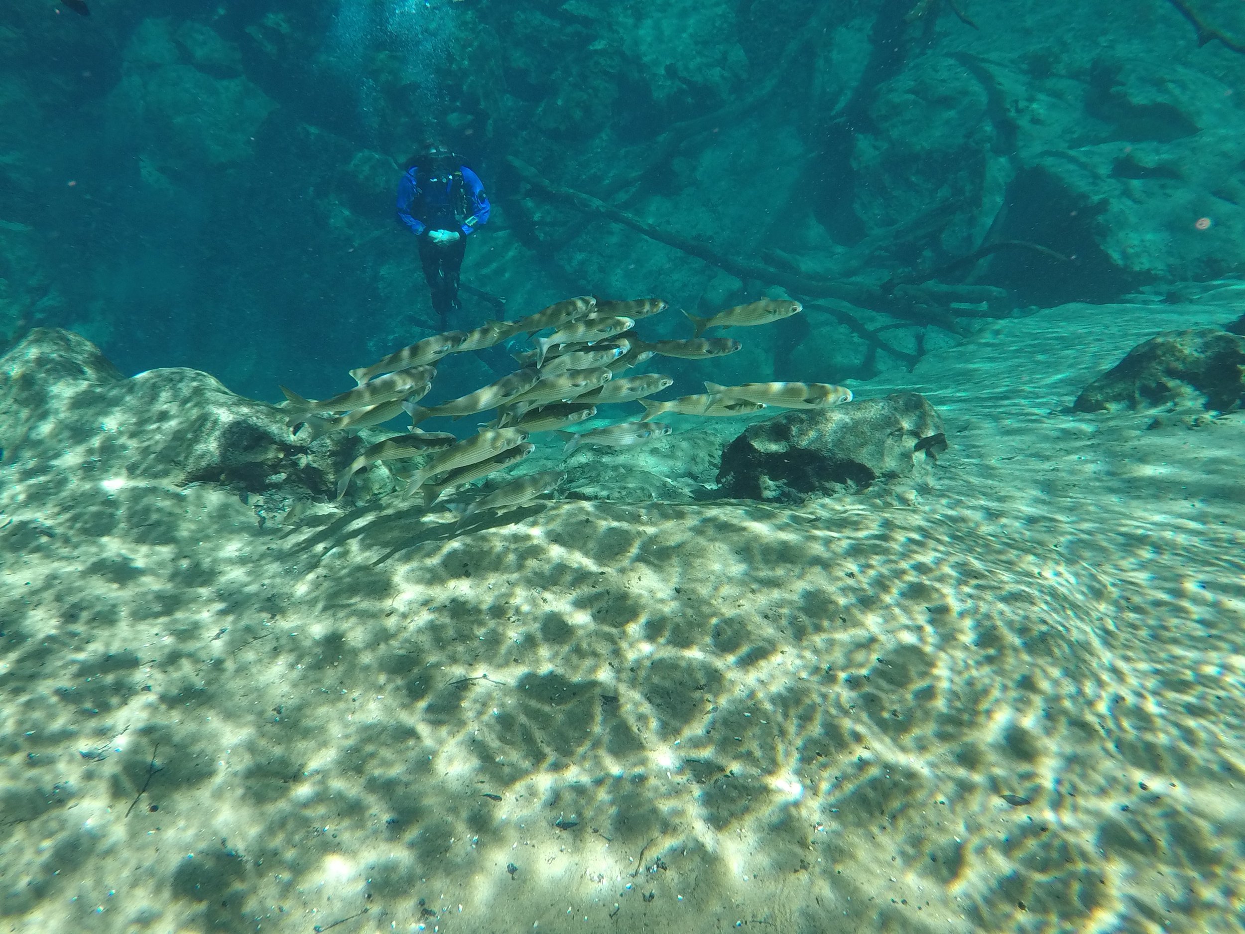 G0100640.JPG