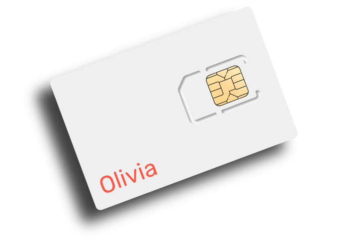 Empty Sim Card_elevated_olivia.png