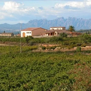 celler-mas-candi.jpeg