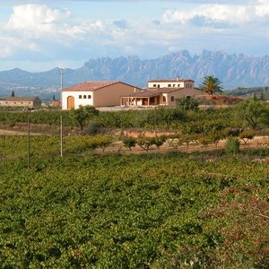 celler-mas-candi.jpeg