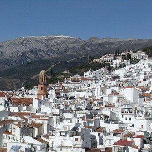 sedella-vinos.jpeg