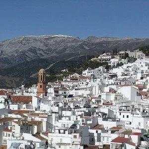 sedella-vinos.jpeg