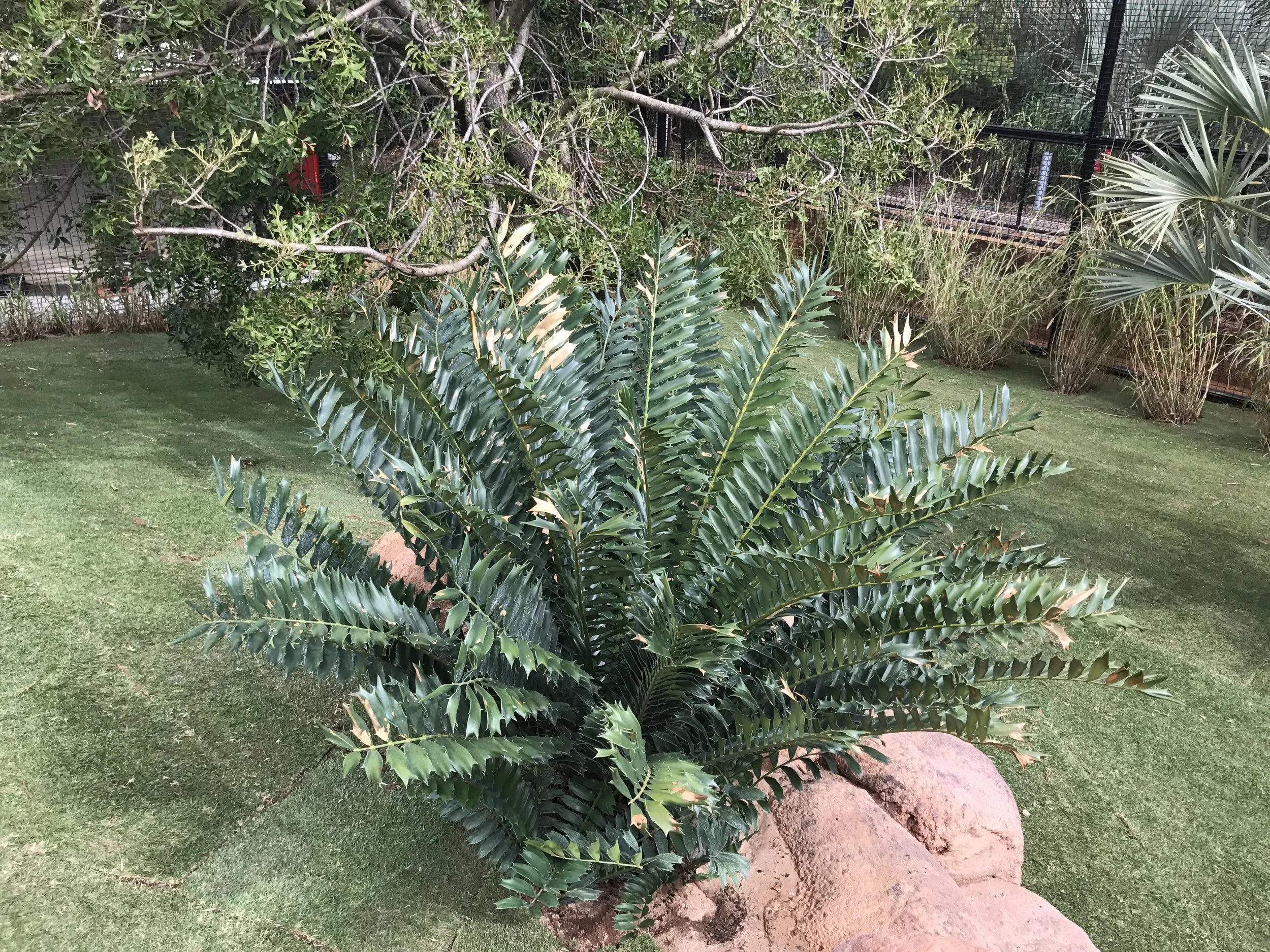 20170831_054700246_iOS.jpg