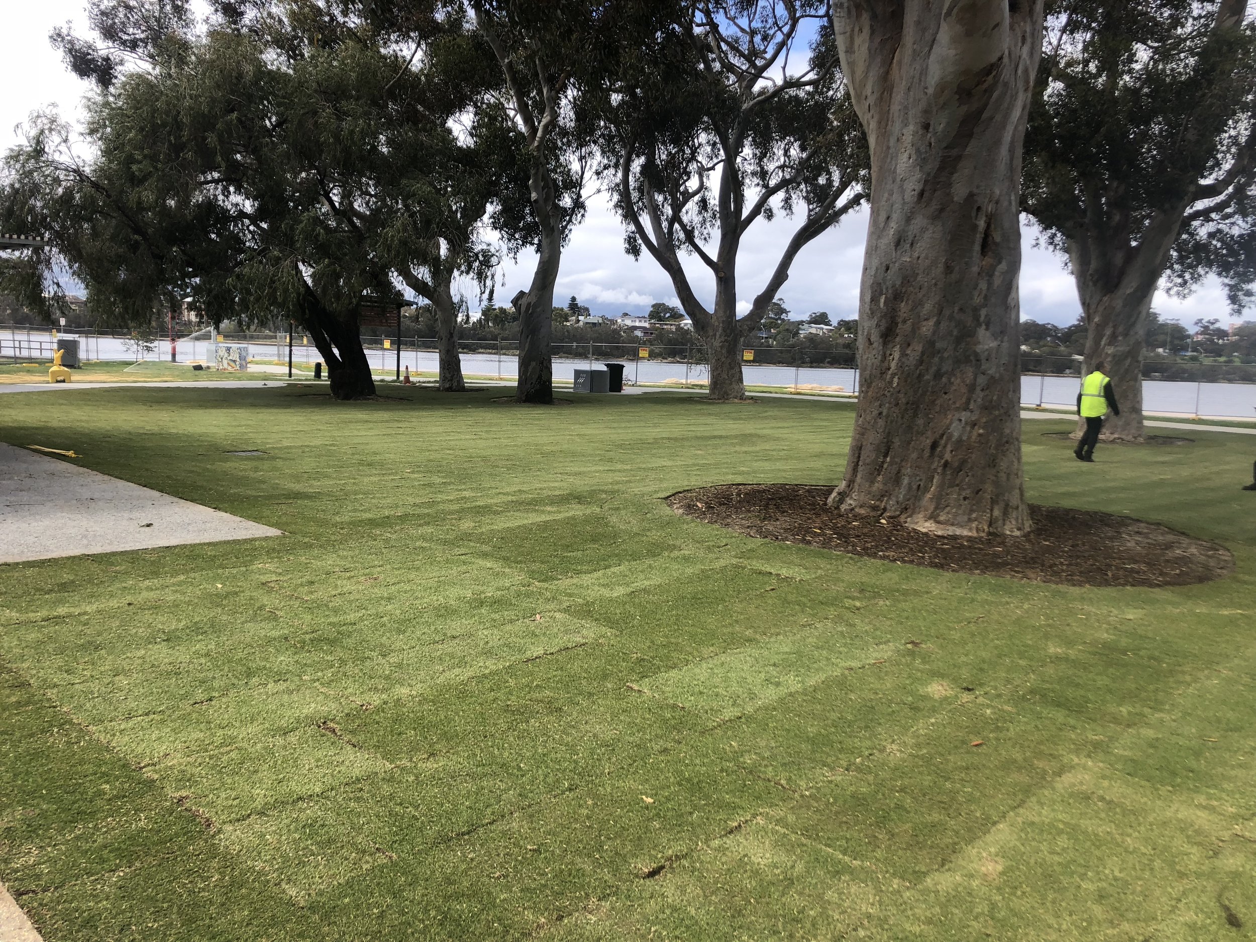 Commercial lawn installation
