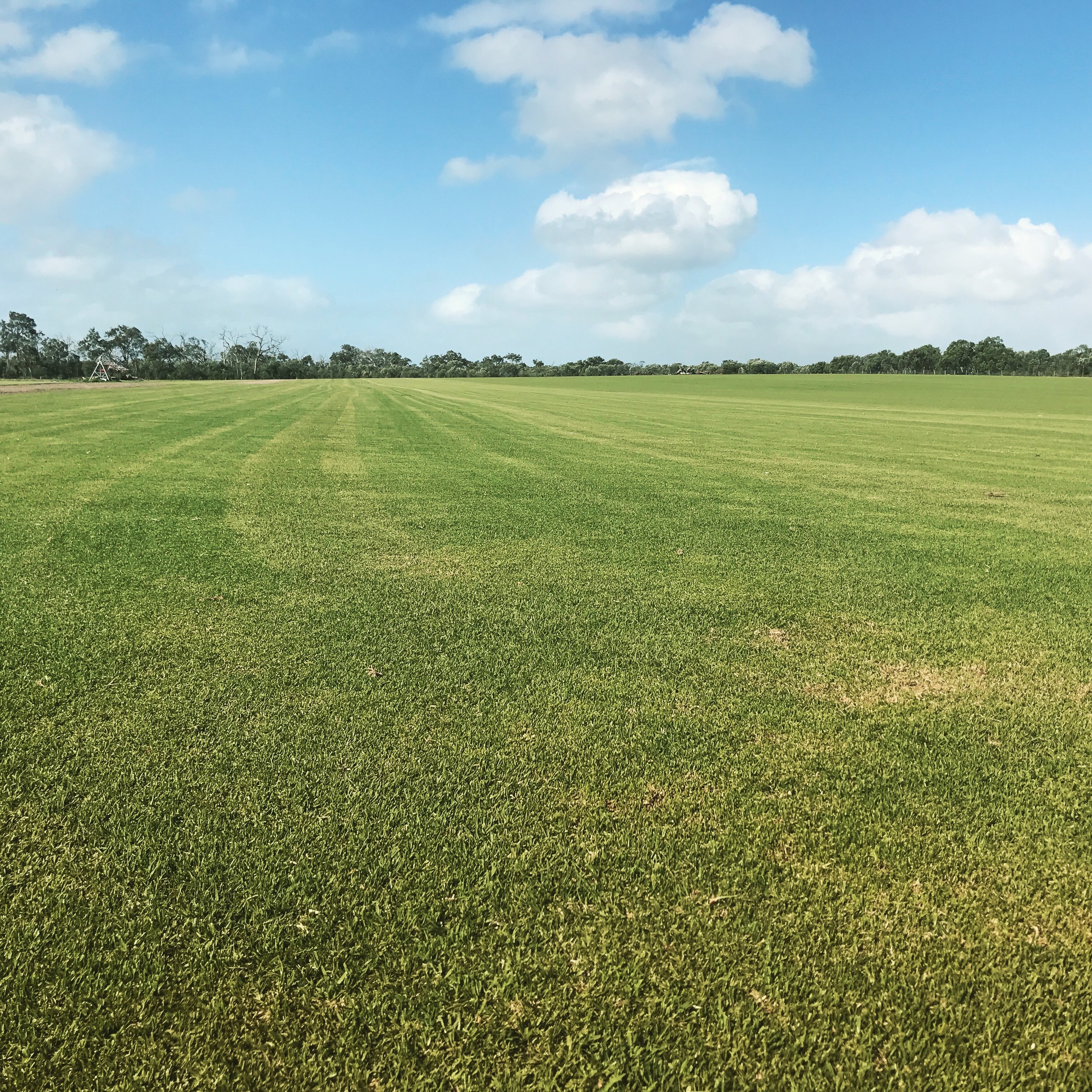 Village Green Kikuyu