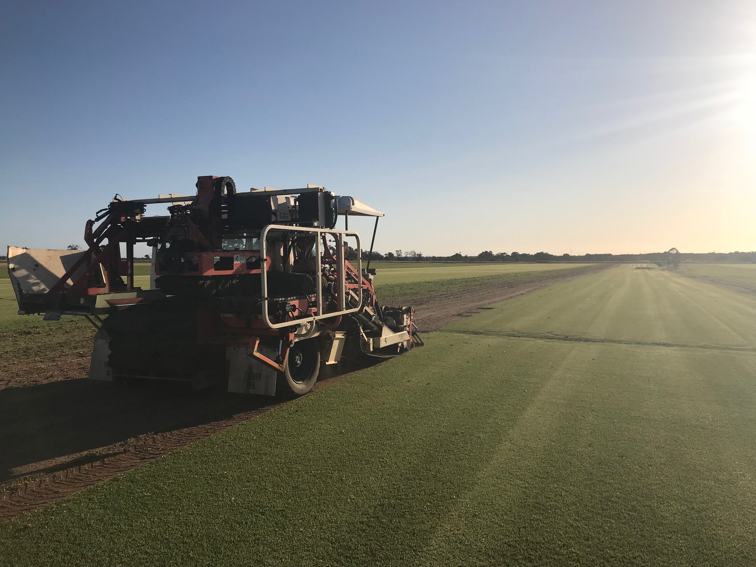 Village Green turf farm