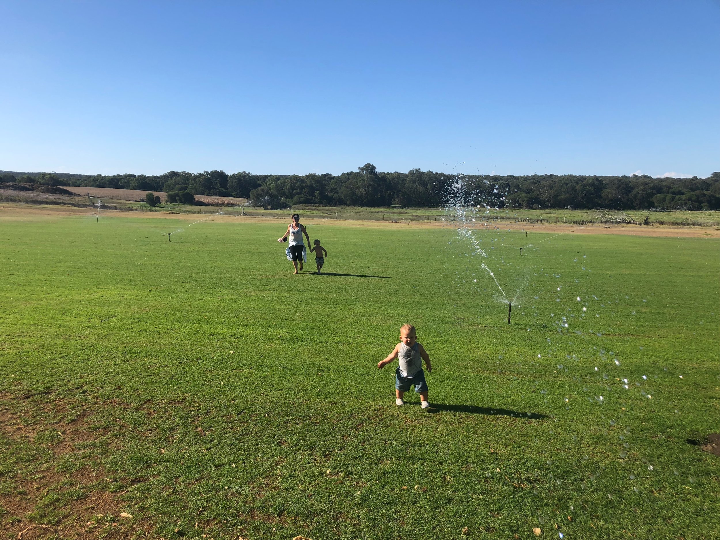 Dodging sprinklers