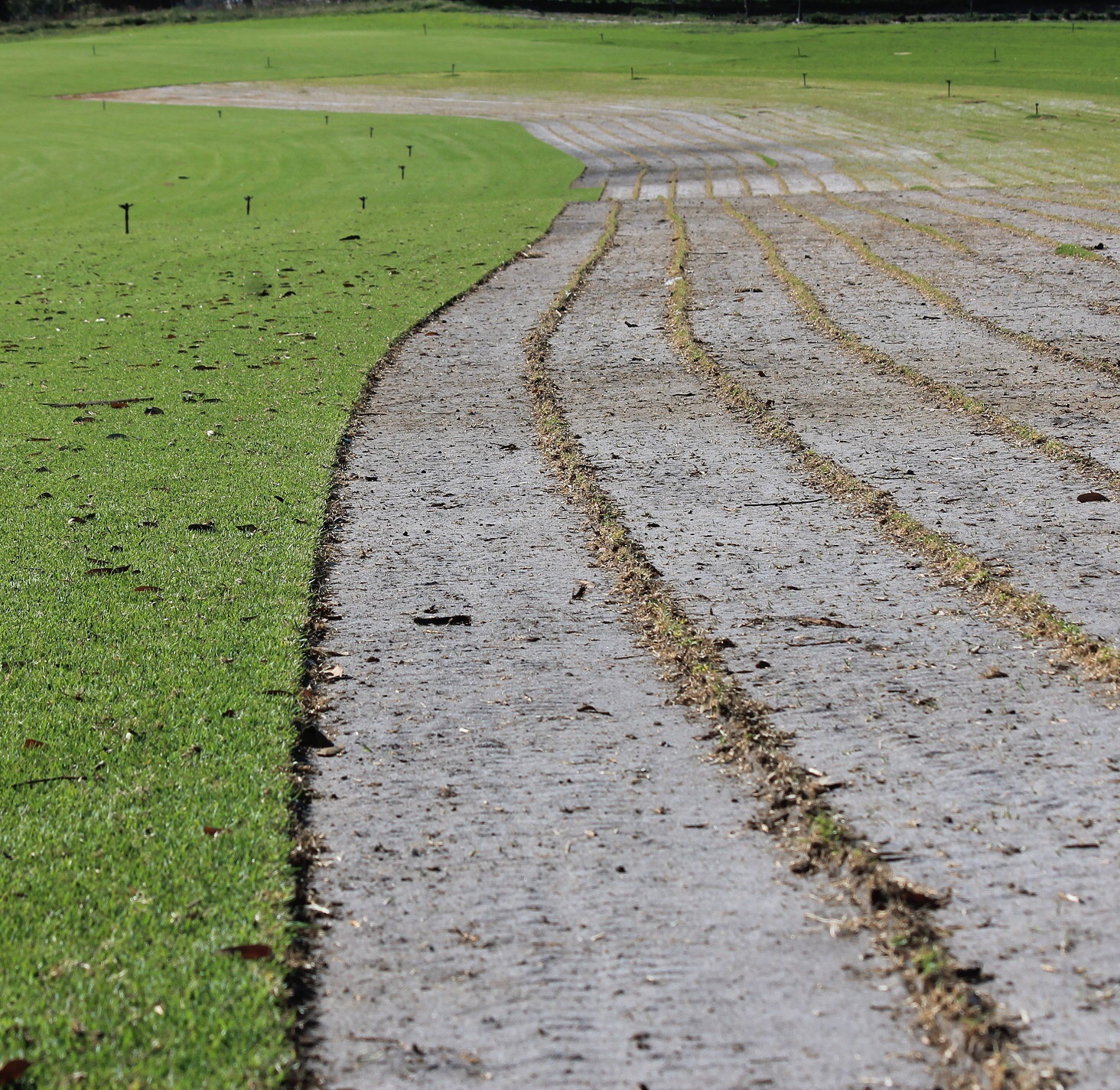 Turf Harvest Lines