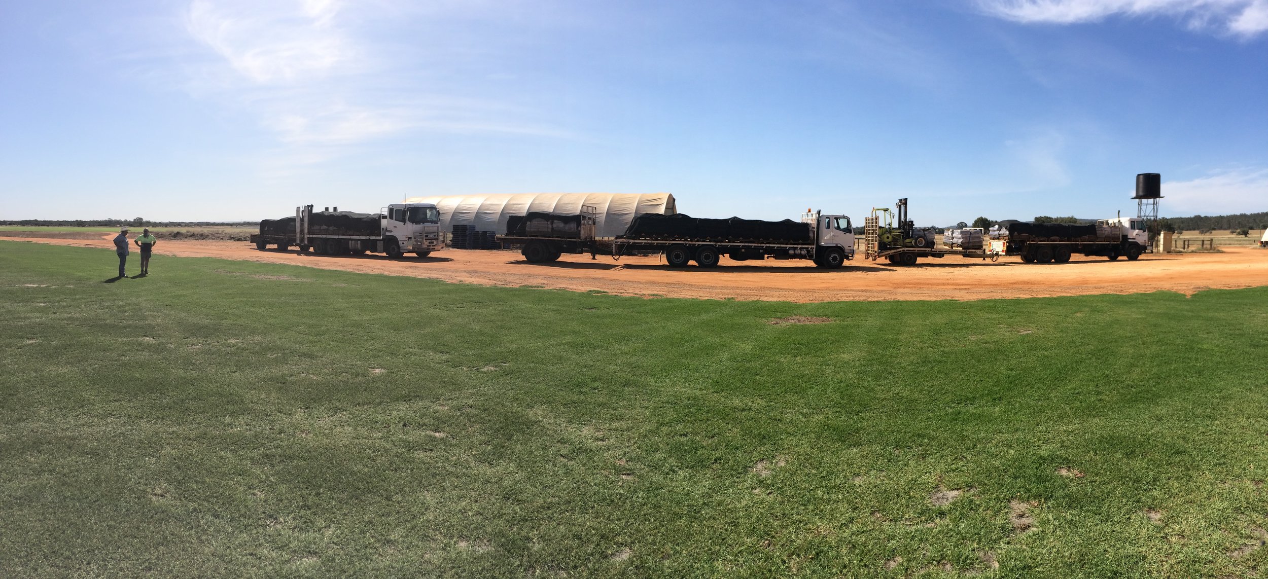 Turf trucks loaded and ready to deliver