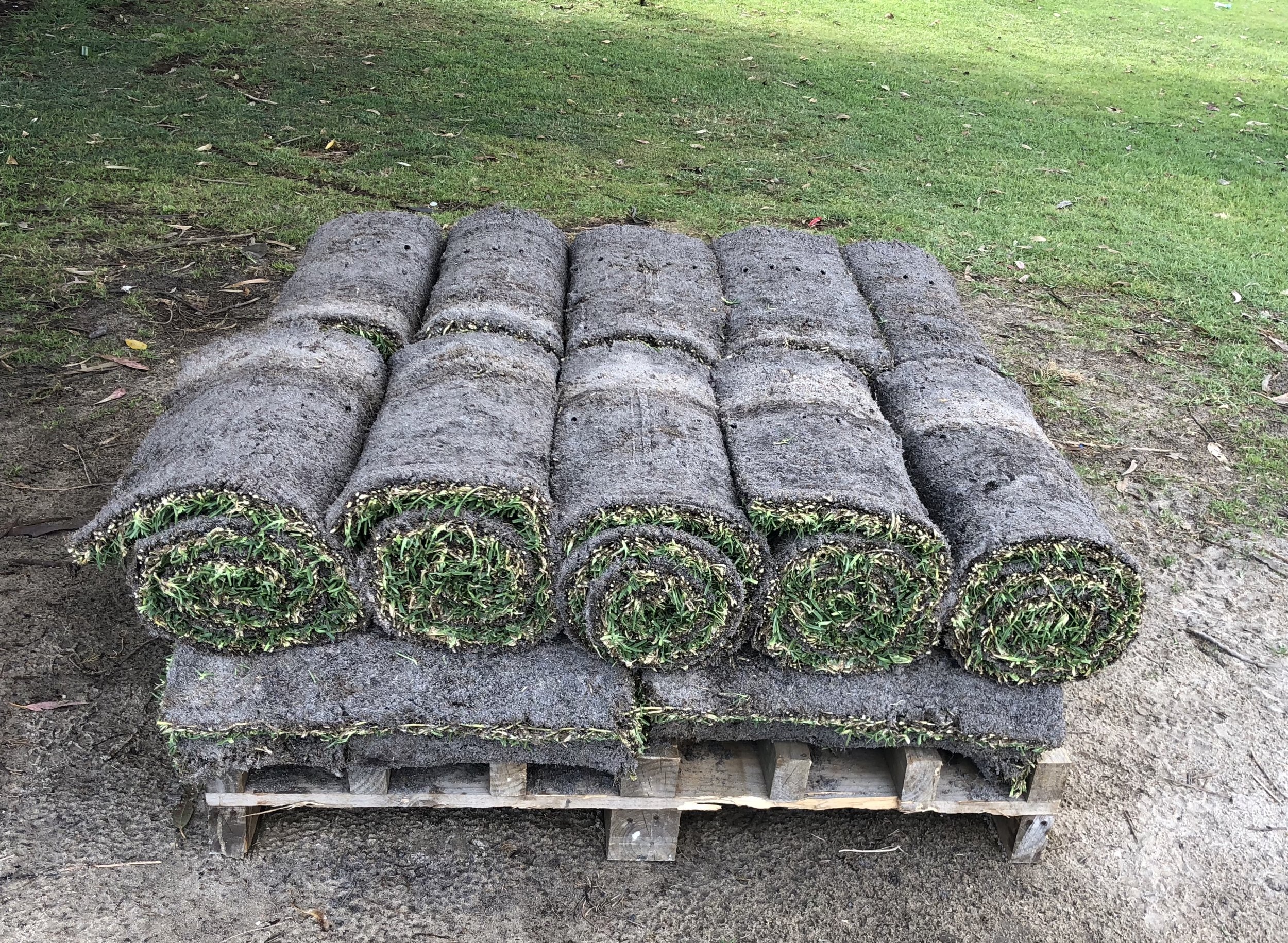 Buffalo roll on lawn ready for pick up