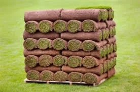 rolls.jpg