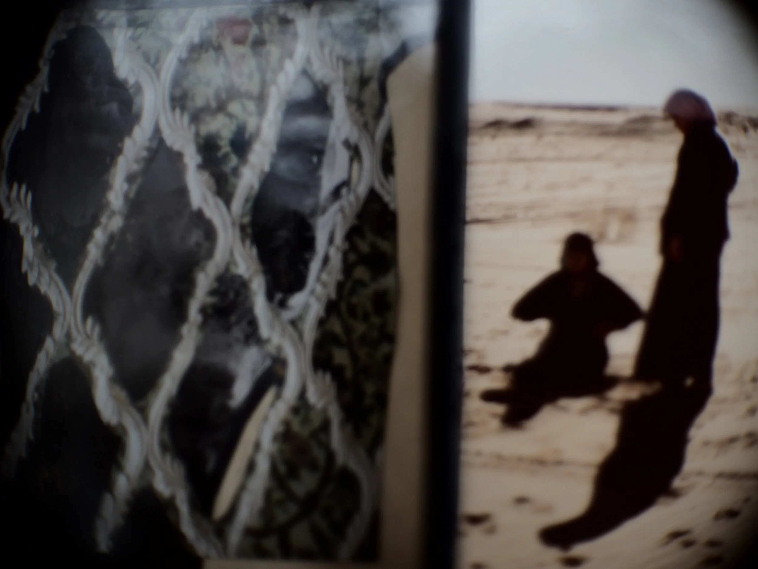 Looking out from behind veils and lattices - in the desert in Saudi Arabia  with my sister - prisons and freedoms are of various complicated kinds.