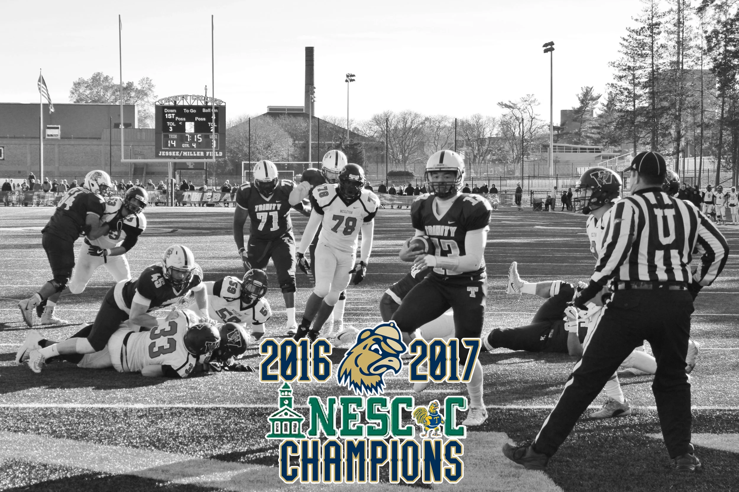 website intro trial.jpg