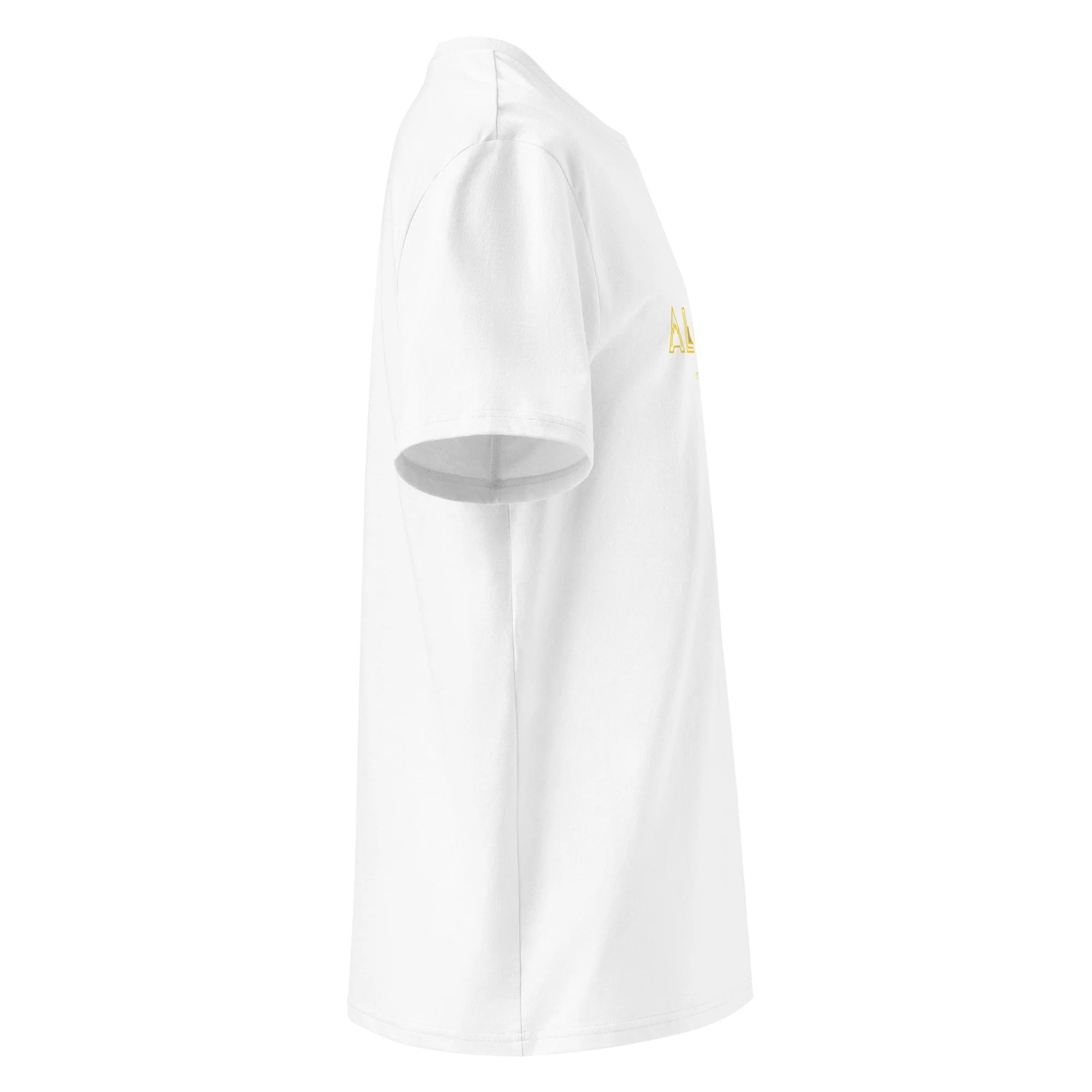 unisex-organic-cotton-creator-2.0-t-shirt-white-right-69f603ce5c3f2.jpg