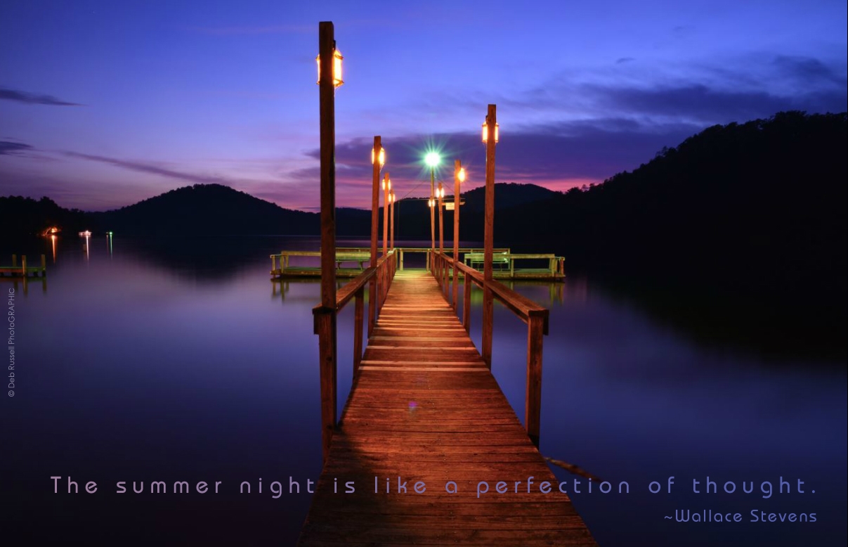 CarolinaForest-Summer night is like.jpg