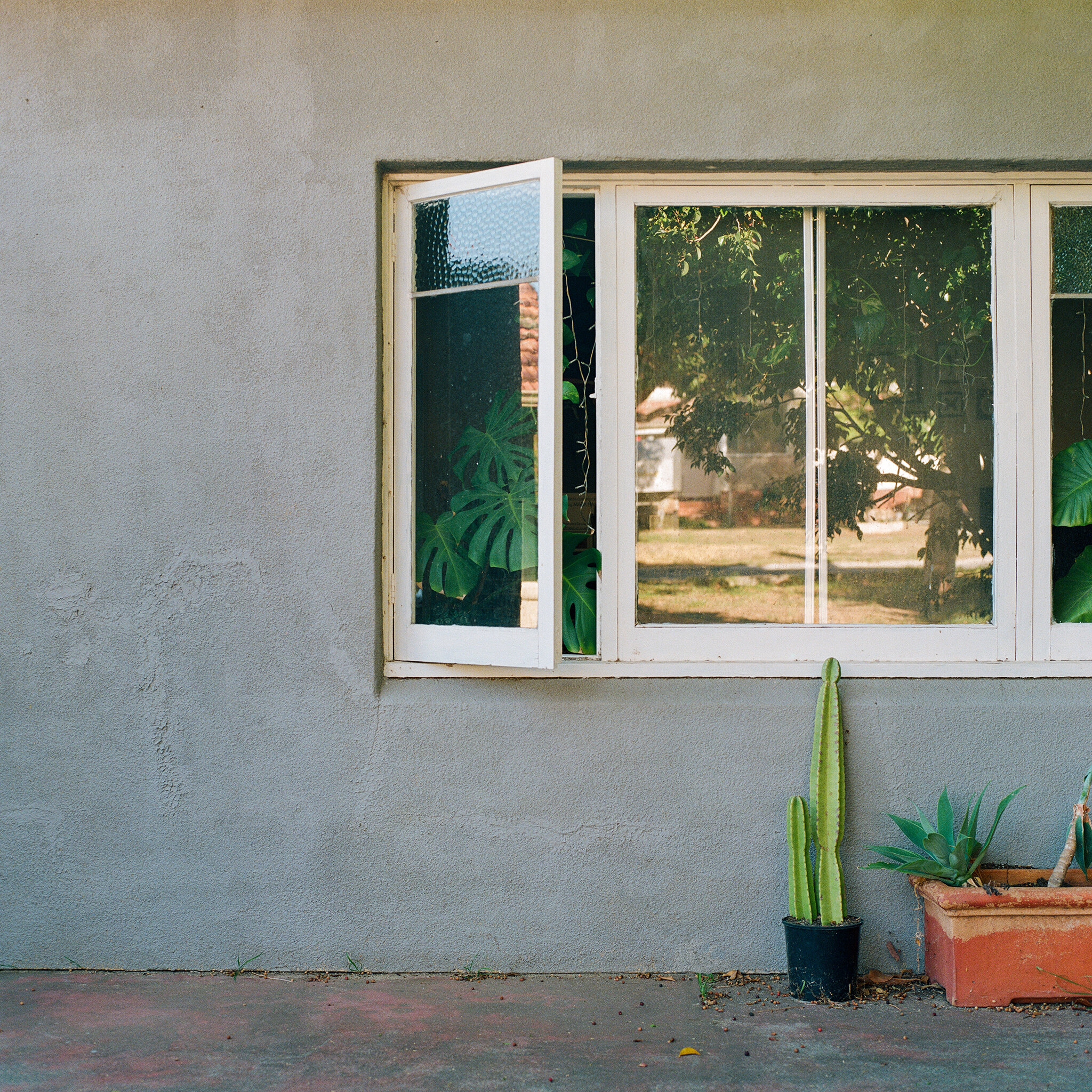 Sly Withers - Cracks (2020, Single, Dew Process)