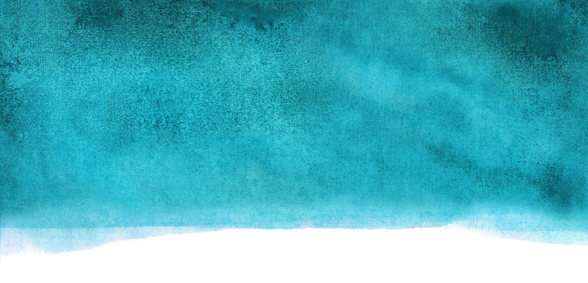 website header image3.jpg