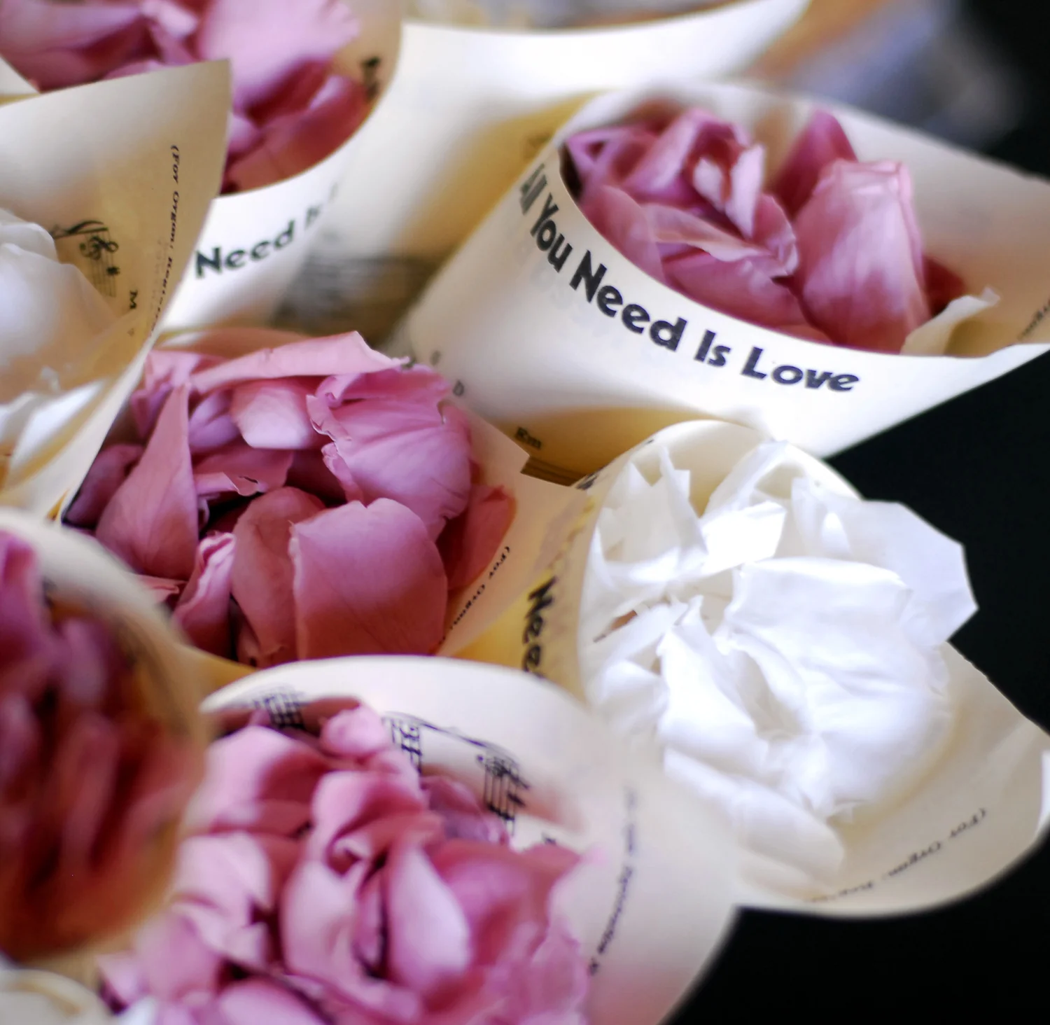 alison_robin_0110 you need is love_WED_1500.JPG