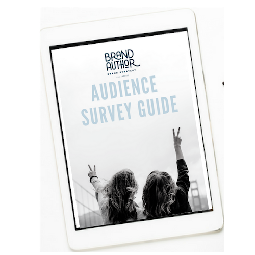 audiencesurveylogo.png