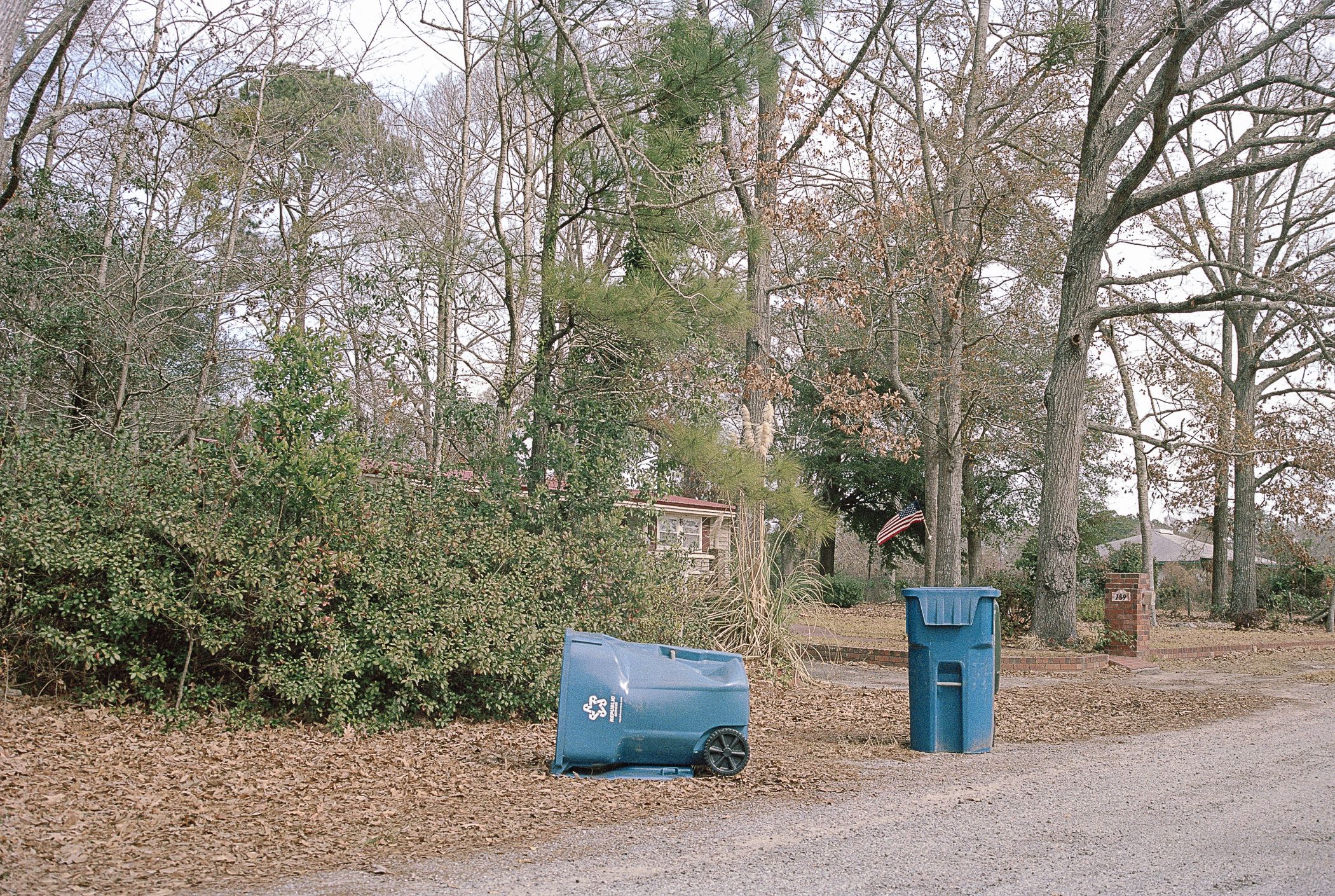 blue trashcans_.jpg