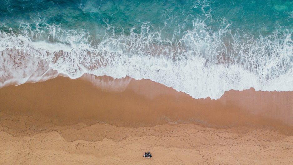 2019 Daisy and Otto Blog Saving the Sea is a Breeze 2.jpg