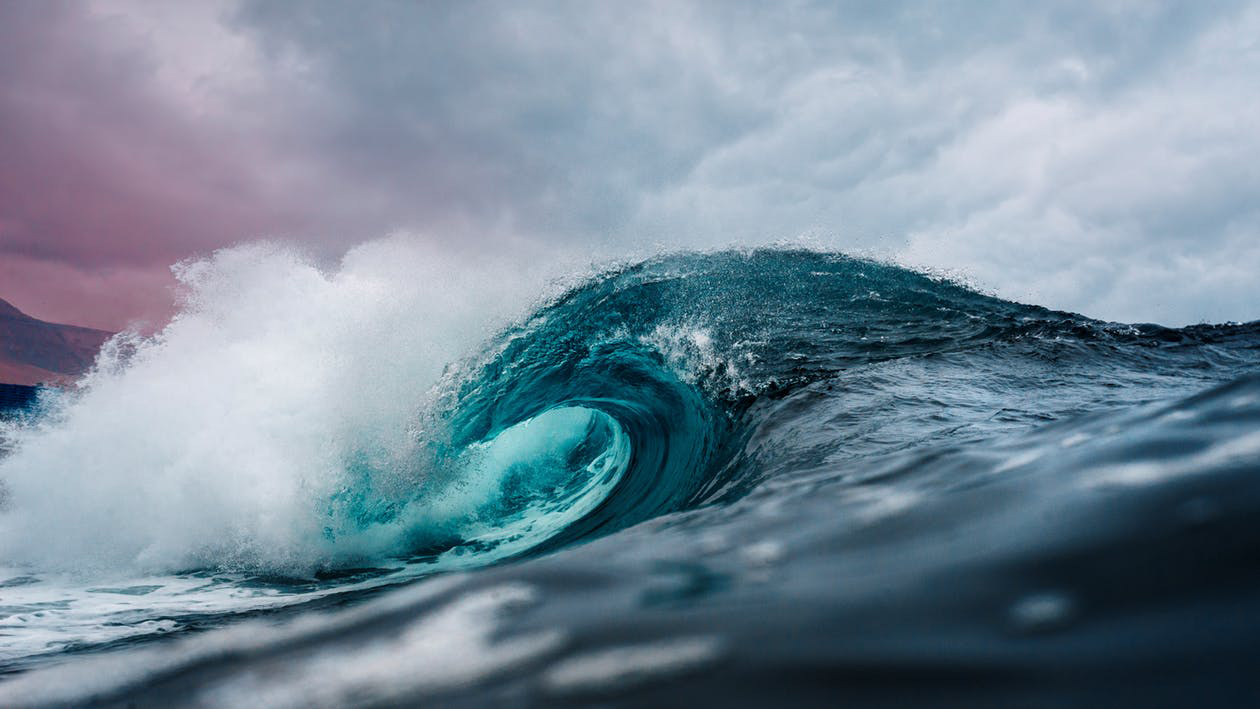 2019 Daisy and Otto Blog Saving the Sea is a Breeze 3.jpg