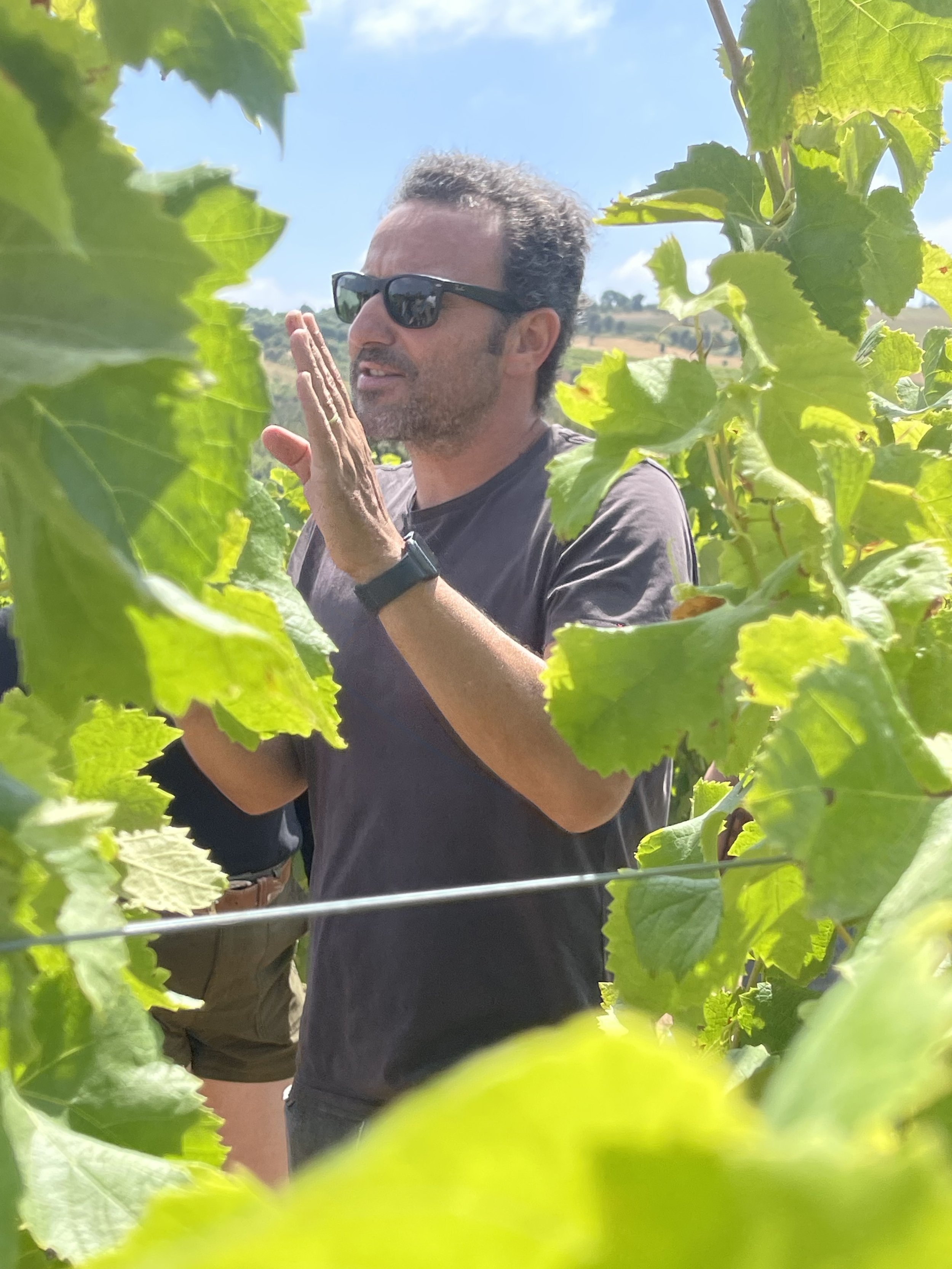 Rodrigo in vyd.jpg